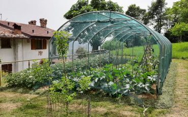 Serre per orti e agricoltura