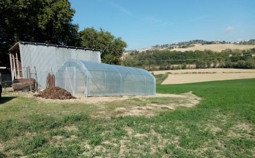 Serre per orti e agricoltura