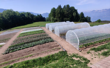 Serre per orti e agricoltura