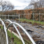 Serra per orti e agricoltura