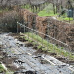 Serra per orti e agricoltura