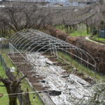 Serra per orti e agricoltura