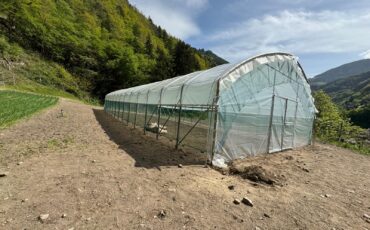 Serra per orti e agricoltura