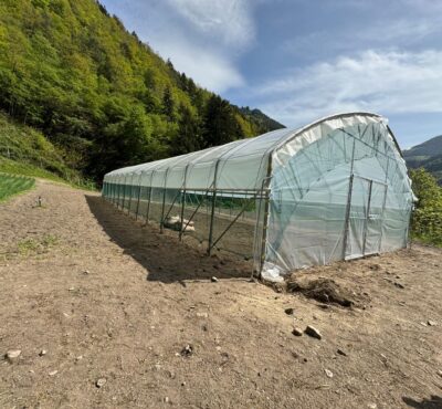 Serra per orti e agricoltura