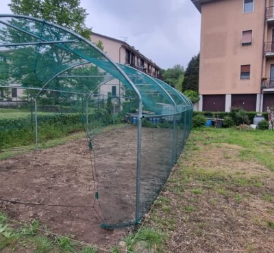 Serra per orti e agricoltura