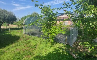 Serra per orti e agricoltura