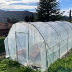 Serre per orti e agricoltura